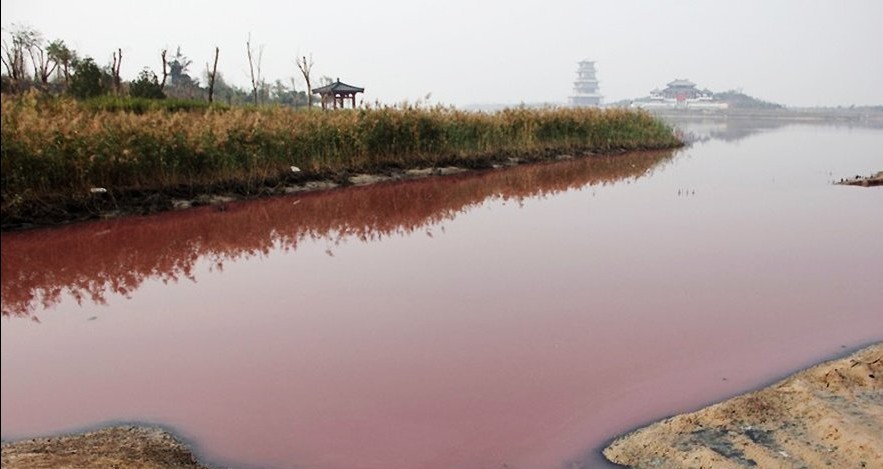工业废水长期排污严重 陕西卤阳湖变成“紅湖”